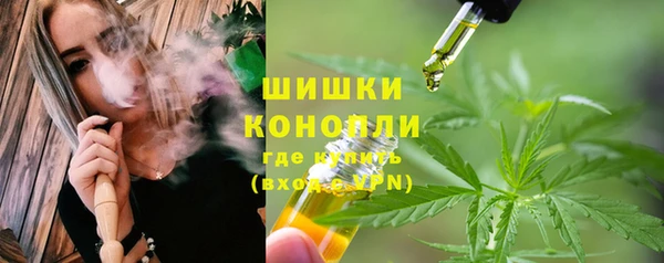 таблы Новозыбков