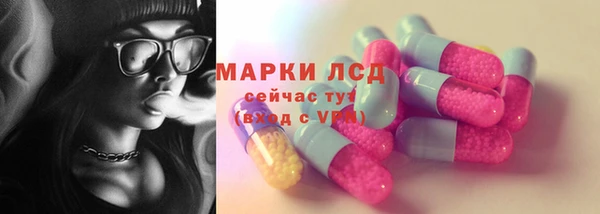 таблы Новозыбков