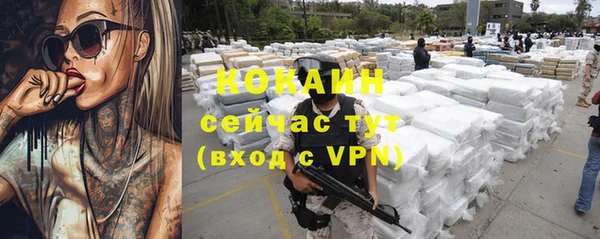 таблы Новозыбков