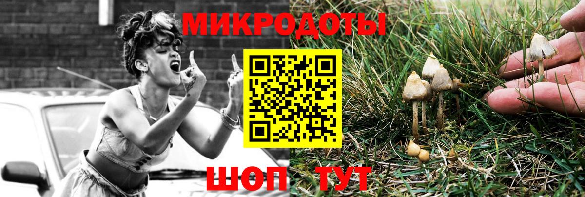Галлюциногенные грибы Psilocybine cubensis  Вход с VPN  Галлюциногенные грибы ЛСД  Ржев 